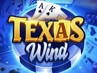 Texas Wind game icon