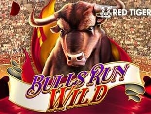 Bulls Run Wild game icon